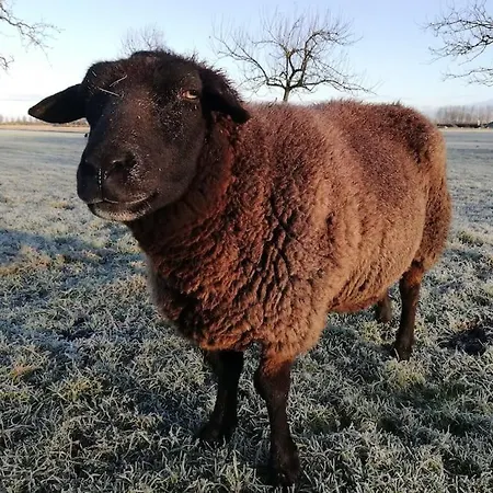 't Winkeltje - Op Boerderij Huize Blokland