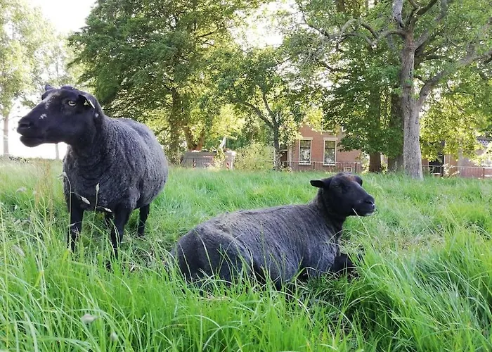 't Winkeltje - Op Boerderij Huize Blokland