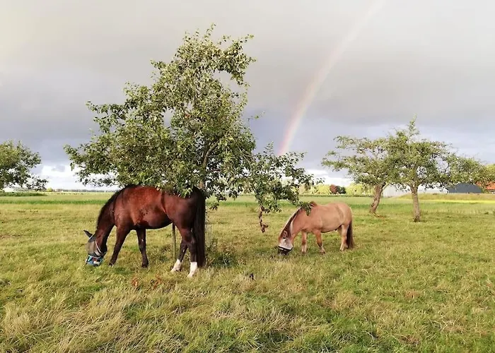 't Winkeltje - Op Boerderij Huize Blokland Дом отдыха