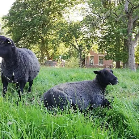 't Winkeltje - Op Boerderij Huize Blokland