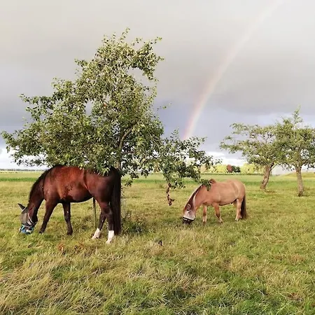 't Winkeltje - Op Boerderij Huize Blokland Tatil Evi